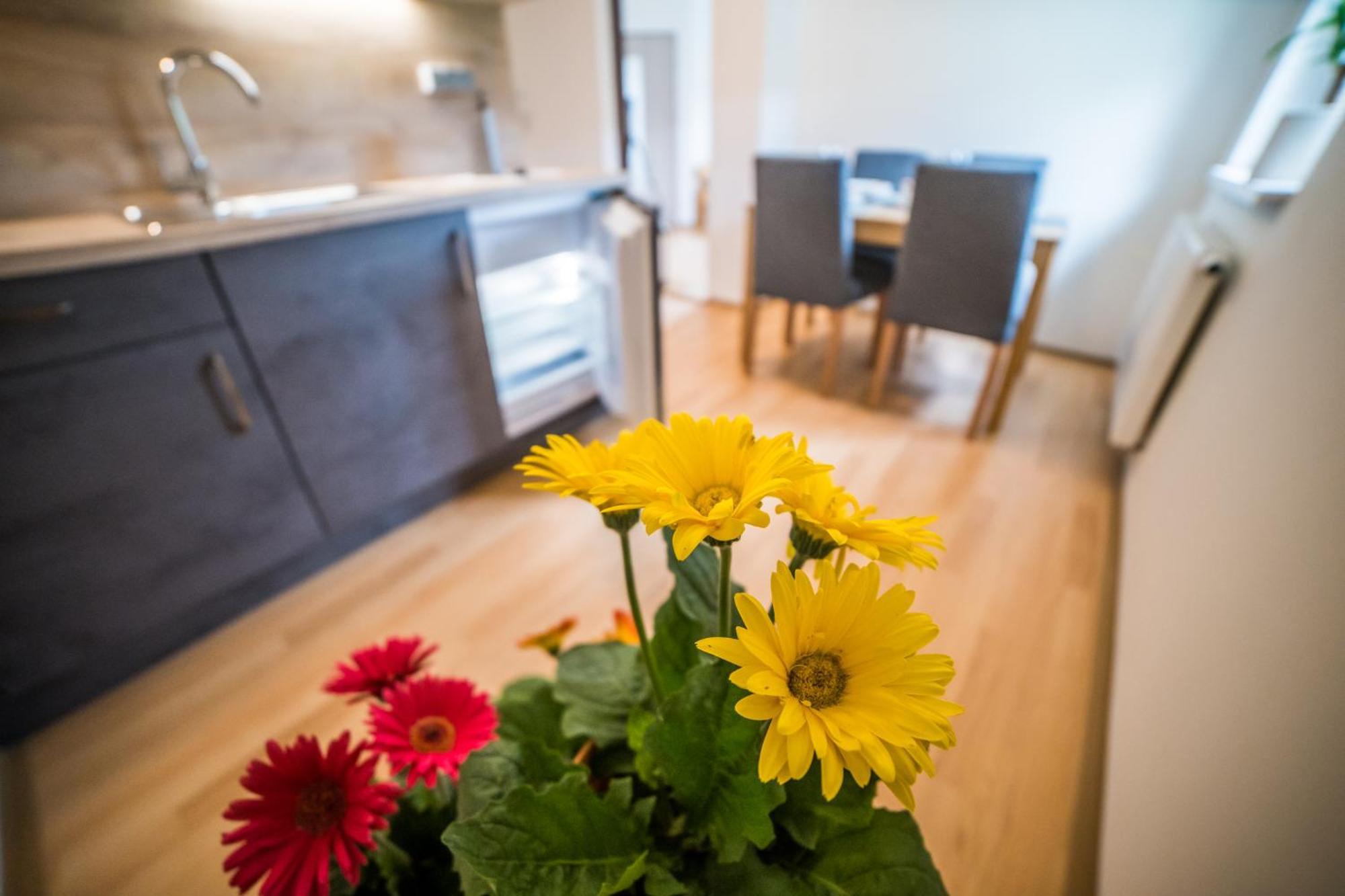 Apartmany Hasicarna Horní Vltavice Eksteriør billede